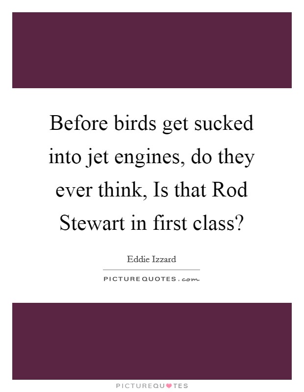 Before birds get sucked into jet engines, do they ever think, Is that Rod Stewart in first class? Picture Quote #1