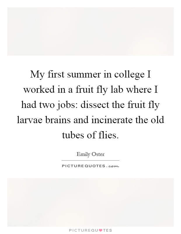 My first summer in college I worked in a fruit fly lab where I had two jobs: dissect the fruit fly larvae brains and incinerate the old tubes of flies. Picture Quote #1
