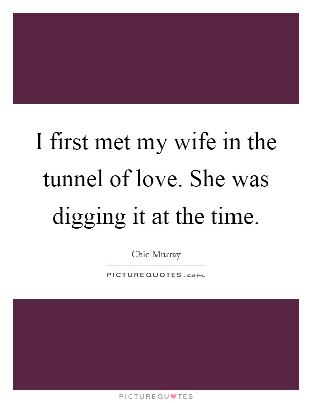 I first met my wife in the tunnel of love. She was digging it at the time. Picture Quote #1