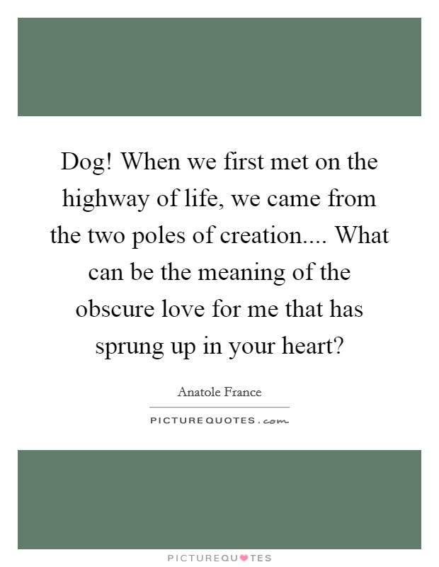 Dog! When we first met on the highway of life, we came from the two poles of creation.... What can be the meaning of the obscure love for me that has sprung up in your heart? Picture Quote #1