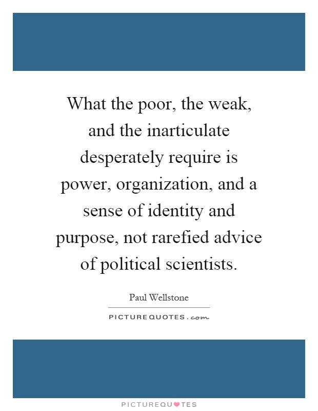 What the poor, the weak, and the inarticulate desperately require is power, organization, and a sense of identity and purpose, not rarefied advice of political scientists Picture Quote #1