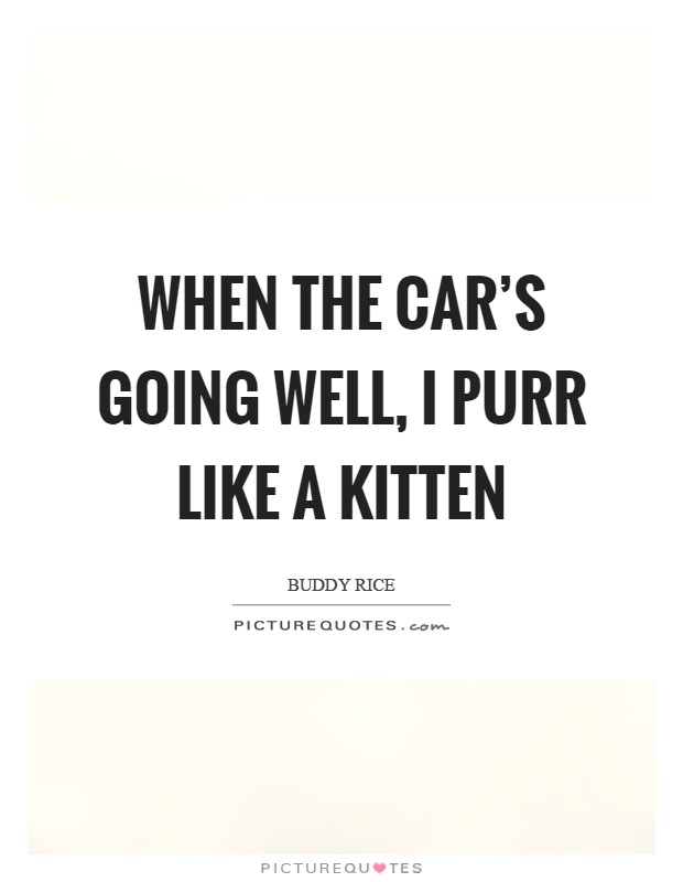 When the car's going well, I purr like a kitten Picture Quote #1