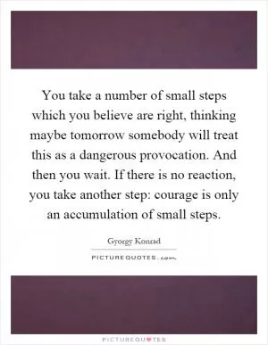 You take a number of small steps which you believe are right, thinking maybe tomorrow somebody will treat this as a dangerous provocation. And then you wait. If there is no reaction, you take another step: courage is only an accumulation of small steps Picture Quote #1