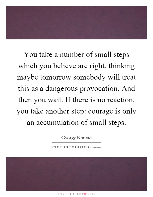 You take a number of small steps which you believe are right, thinking maybe tomorrow somebody will treat this as a dangerous provocation. And then you wait. If there is no reaction, you take another step: courage is only an accumulation of small steps Picture Quote #1