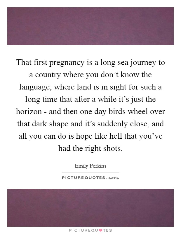 That first pregnancy is a long sea journey to a country where you don’t know the language, where land is in sight for such a long time that after a while it’s just the horizon - and then one day birds wheel over that dark shape and it’s suddenly close, and all you can do is hope like hell that you’ve had the right shots Picture Quote #1