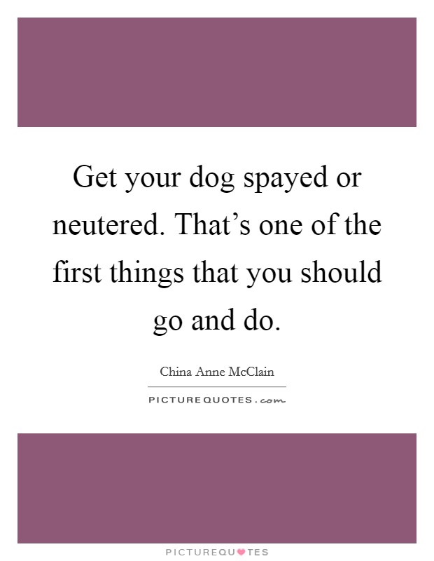 Get your dog spayed or neutered. That's one of the first things that you should go and do. Picture Quote #1