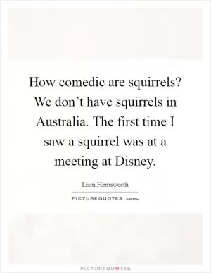 How comedic are squirrels? We don’t have squirrels in Australia. The first time I saw a squirrel was at a meeting at Disney Picture Quote #1