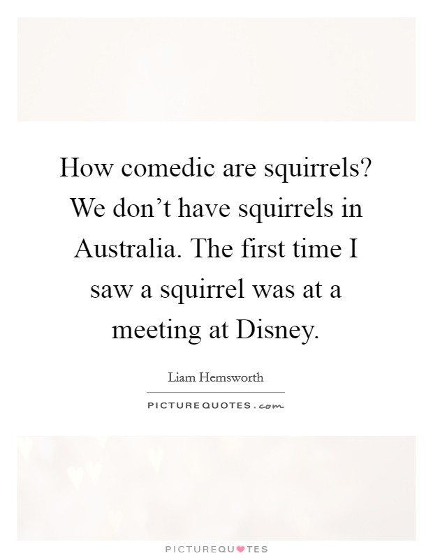 How comedic are squirrels? We don't have squirrels in Australia. The first time I saw a squirrel was at a meeting at Disney. Picture Quote #1