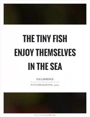 The tiny fish enjoy themselves in the sea Picture Quote #1