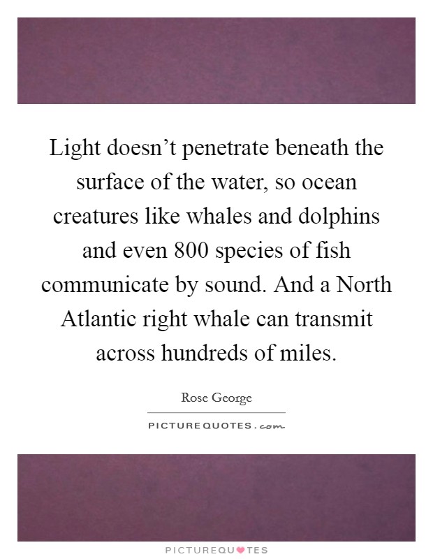 Light doesn't penetrate beneath the surface of the water, so ocean creatures like whales and dolphins and even 800 species of fish communicate by sound. And a North Atlantic right whale can transmit across hundreds of miles. Picture Quote #1