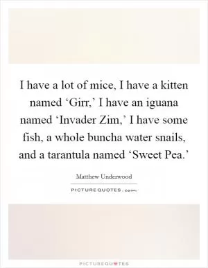 I have a lot of mice, I have a kitten named ‘Girr,’ I have an iguana named ‘Invader Zim,’ I have some fish, a whole buncha water snails, and a tarantula named ‘Sweet Pea.’ Picture Quote #1