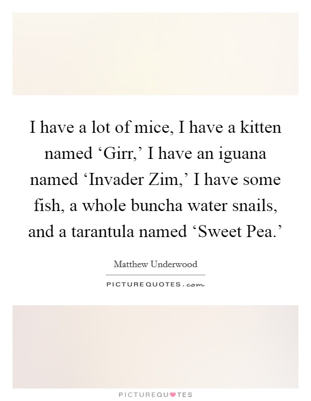 I have a lot of mice, I have a kitten named ‘Girr,' I have an iguana named ‘Invader Zim,' I have some fish, a whole buncha water snails, and a tarantula named ‘Sweet Pea.' Picture Quote #1
