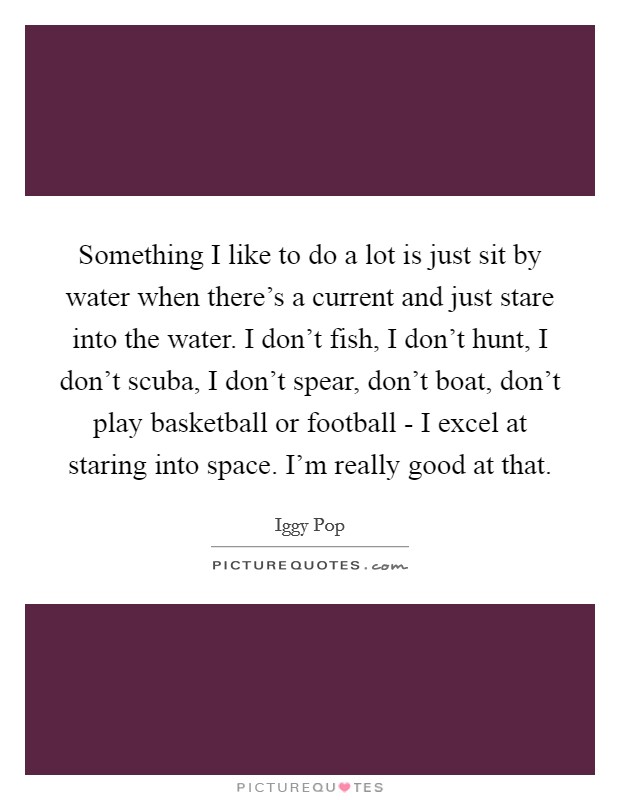 Something I like to do a lot is just sit by water when there's a current and just stare into the water. I don't fish, I don't hunt, I don't scuba, I don't spear, don't boat, don't play basketball or football - I excel at staring into space. I'm really good at that. Picture Quote #1