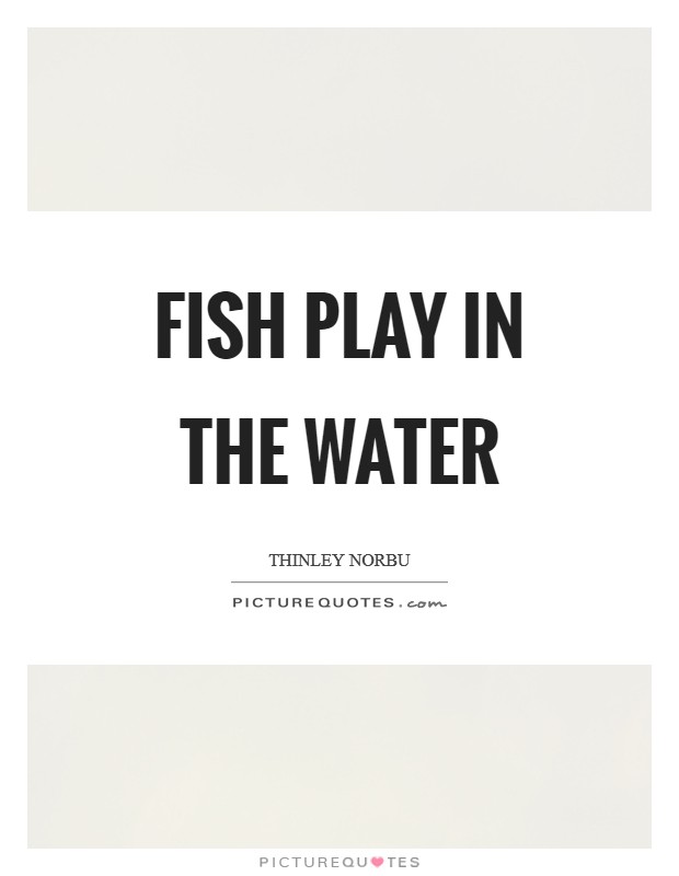 Fish play in the water Picture Quote #1