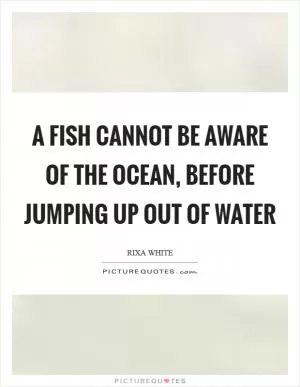 A fish cannot be aware of the ocean, before jumping up out of water Picture Quote #1