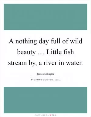 A nothing day full of wild beauty .... Little fish stream by, a river in water Picture Quote #1