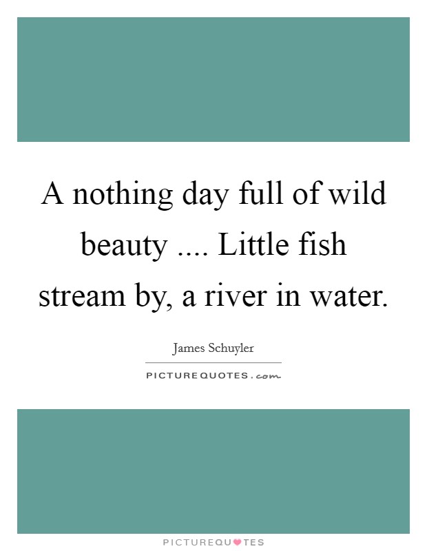 A nothing day full of wild beauty .... Little fish stream by, a river in water. Picture Quote #1