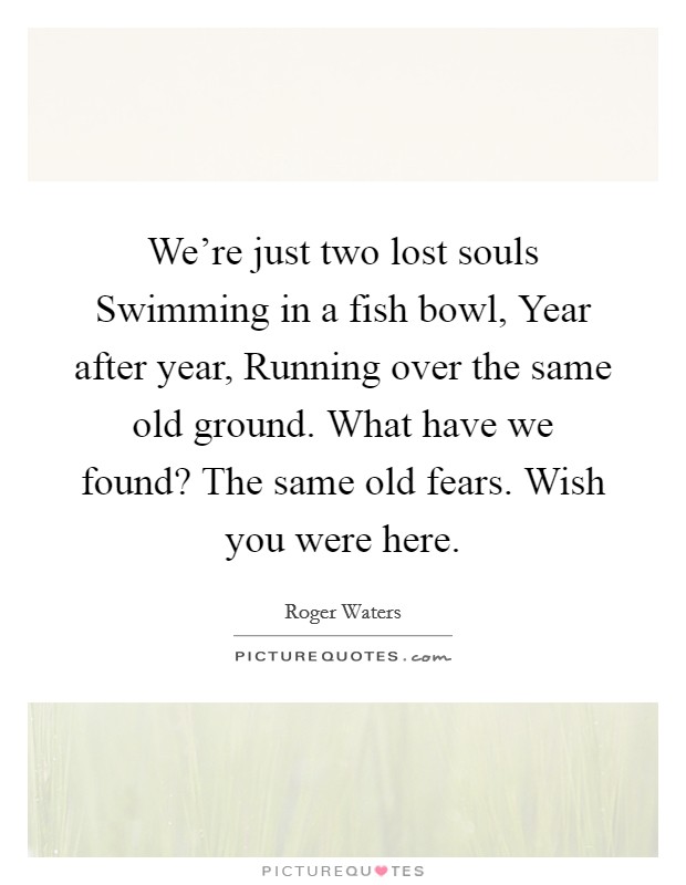 We're just two lost souls Swimming in a fish bowl, Year after year, Running over the same old ground. What have we found? The same old fears. Wish you were here. Picture Quote #1