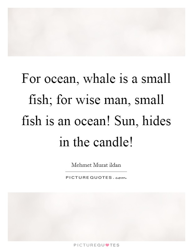 For ocean, whale is a small fish; for wise man, small fish is an ocean! Sun, hides in the candle! Picture Quote #1