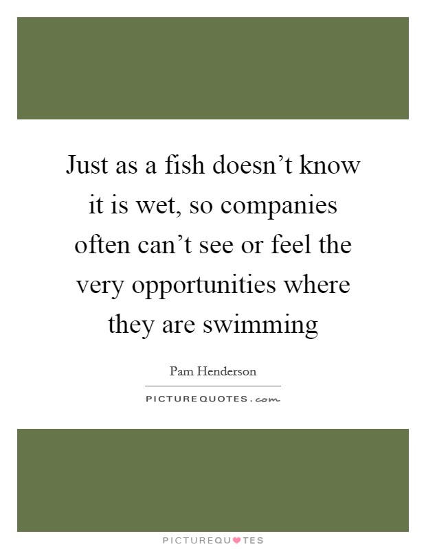 Just as a fish doesn't know it is wet, so companies often can't see or feel the very opportunities where they are swimming Picture Quote #1