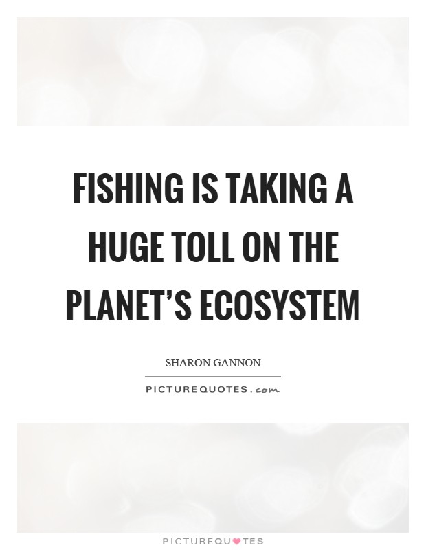 Fishing is taking a huge toll on the planet's ecosystem Picture Quote #1
