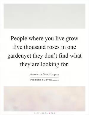 People where you live grow five thousand roses in one gardenyet they don’t find what they are looking for Picture Quote #1