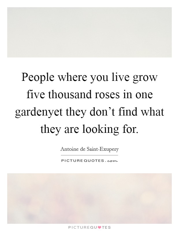People where you live grow five thousand roses in one gardenyet they don't find what they are looking for. Picture Quote #1