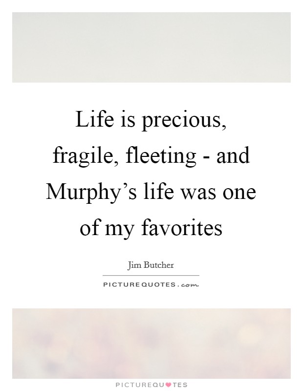Life is precious, fragile, fleeting - and Murphy's life was one of my favorites Picture Quote #1
