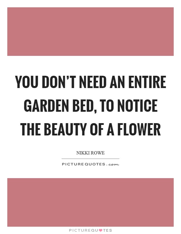 You don't need an entire garden bed, to notice the beauty of a flower Picture Quote #1