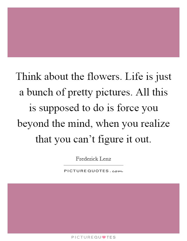 Think about the flowers. Life is just a bunch of pretty pictures. All this is supposed to do is force you beyond the mind, when you realize that you can't figure it out. Picture Quote #1