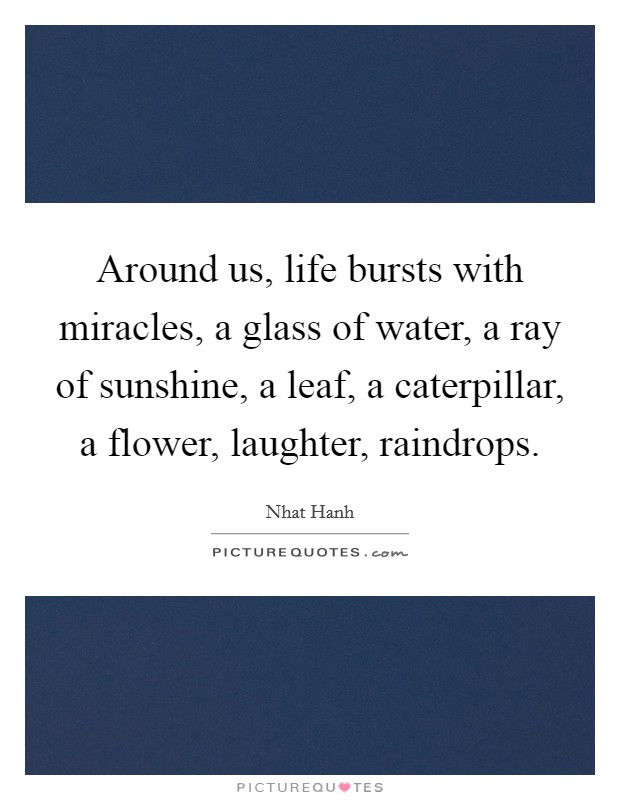 Around us, life bursts with miracles, a glass of water, a ray of sunshine, a leaf, a caterpillar, a flower, laughter, raindrops. Picture Quote #1