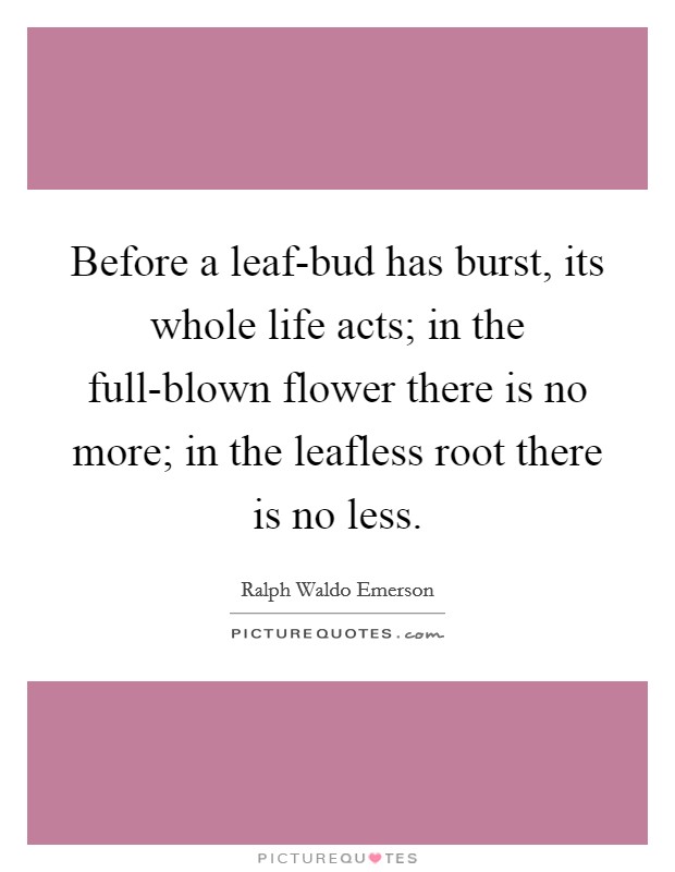 Before a leaf-bud has burst, its whole life acts; in the full-blown flower there is no more; in the leafless root there is no less. Picture Quote #1