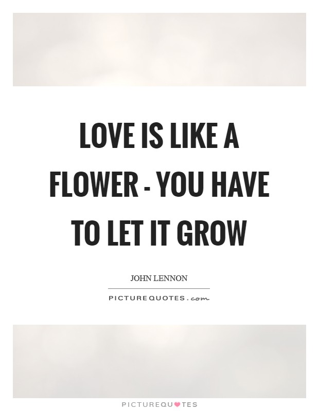 Love is like a flower - you have to let it grow Picture Quote #1