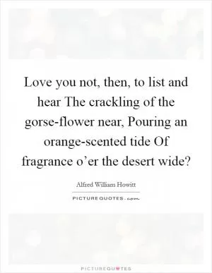 Love you not, then, to list and hear The crackling of the gorse-flower near, Pouring an orange-scented tide Of fragrance o’er the desert wide? Picture Quote #1