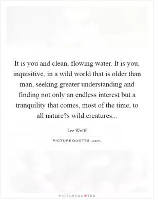 It is you and clean, flowing water. It is you, inquisitive, in a wild world that is older than man, seeking greater understanding and finding not only an endless interest but a tranquility that comes, most of the time, to all nature?s wild creatures Picture Quote #1