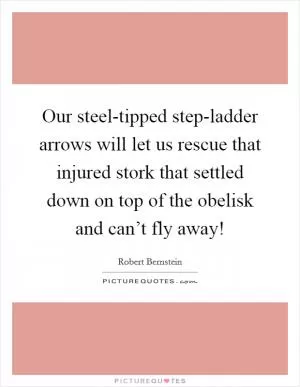 Our steel-tipped step-ladder arrows will let us rescue that injured stork that settled down on top of the obelisk and can’t fly away! Picture Quote #1