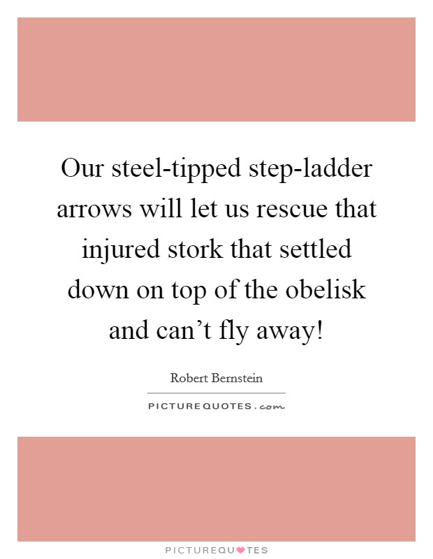 Our steel-tipped step-ladder arrows will let us rescue that injured stork that settled down on top of the obelisk and can't fly away! Picture Quote #1