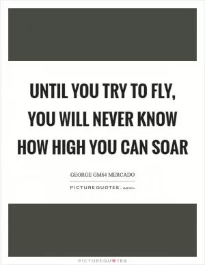 Until you try to fly, you will never know how high you can soar Picture Quote #1