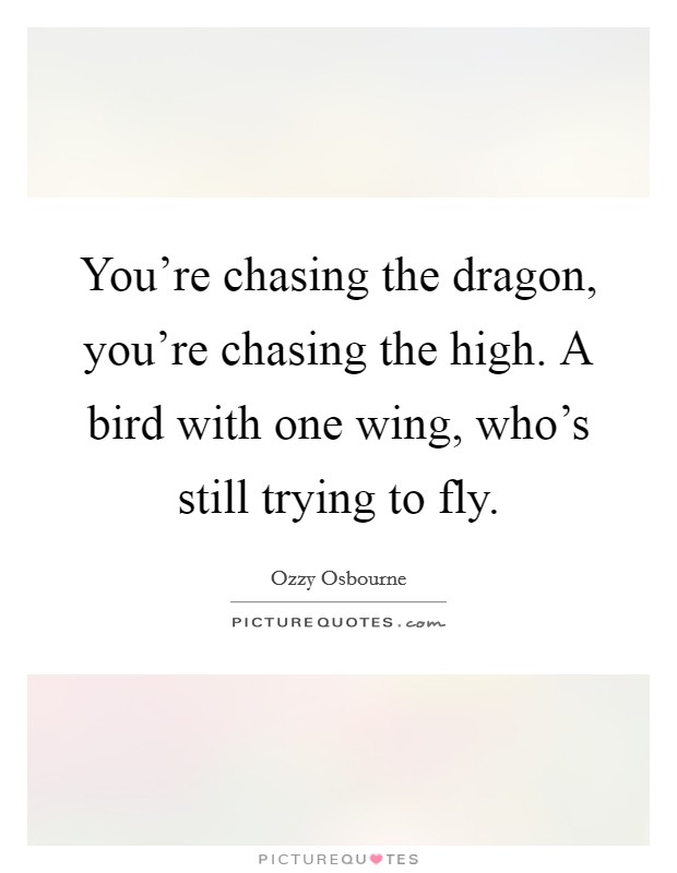 You're chasing the dragon, you're chasing the high. A bird with one wing, who's still trying to fly. Picture Quote #1