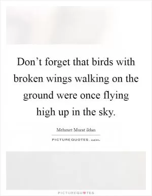 Don’t forget that birds with broken wings walking on the ground were once flying high up in the sky Picture Quote #1
