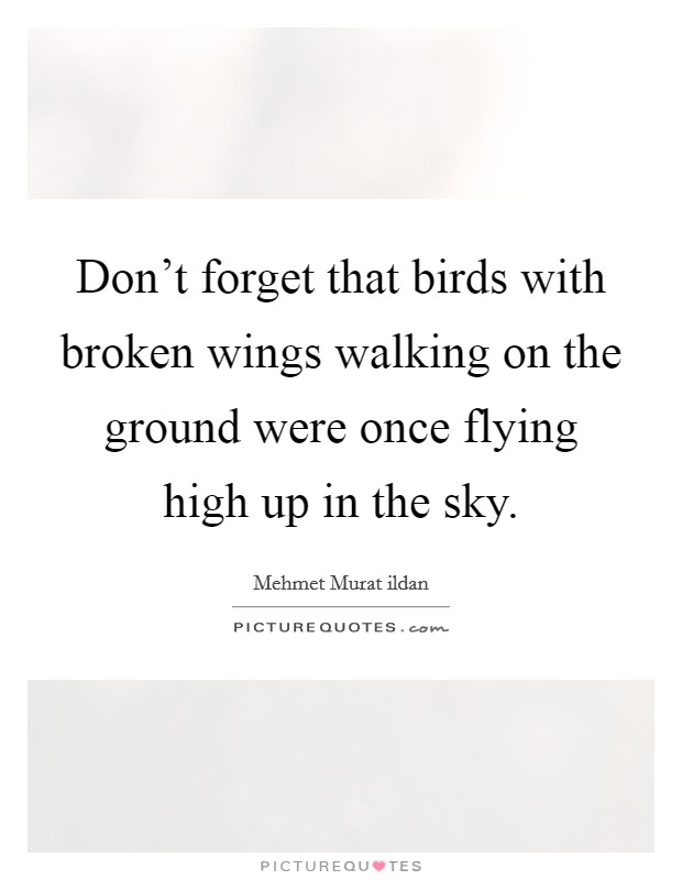 Don't forget that birds with broken wings walking on the ground were once flying high up in the sky. Picture Quote #1