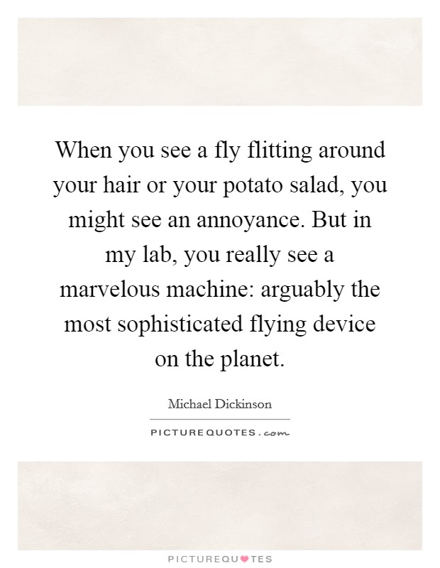 When you see a fly flitting around your hair or your potato salad, you might see an annoyance. But in my lab, you really see a marvelous machine: arguably the most sophisticated flying device on the planet. Picture Quote #1