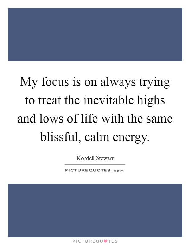 My focus is on always trying to treat the inevitable highs and lows of life with the same blissful, calm energy. Picture Quote #1