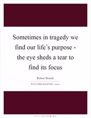 Sometimes in tragedy we find our life’s purpose - the eye sheds a tear to find its focus Picture Quote #1