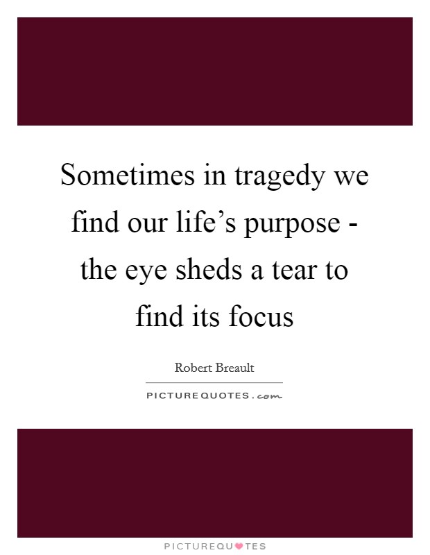Sometimes in tragedy we find our life's purpose - the eye sheds a tear to find its focus Picture Quote #1
