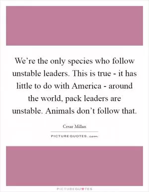 We’re the only species who follow unstable leaders. This is true - it has little to do with America - around the world, pack leaders are unstable. Animals don’t follow that Picture Quote #1