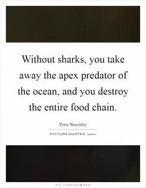 Without sharks, you take away the apex predator of the ocean, and you destroy the entire food chain Picture Quote #1