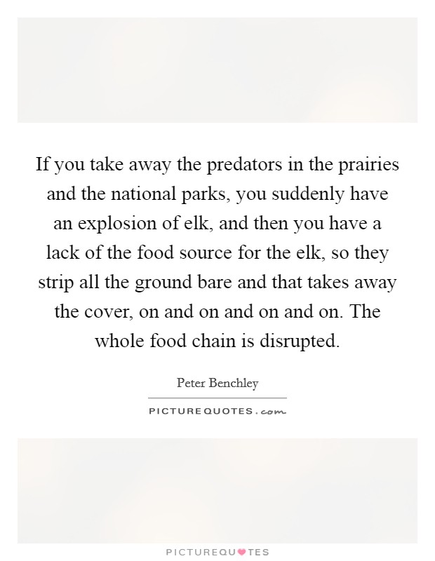 If you take away the predators in the prairies and the national parks, you suddenly have an explosion of elk, and then you have a lack of the food source for the elk, so they strip all the ground bare and that takes away the cover, on and on and on and on. The whole food chain is disrupted. Picture Quote #1