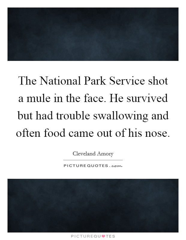 The National Park Service shot a mule in the face. He survived but had trouble swallowing and often food came out of his nose. Picture Quote #1