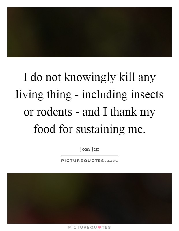 I do not knowingly kill any living thing - including insects or rodents - and I thank my food for sustaining me. Picture Quote #1